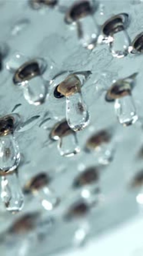 Drops of Water Fall From the Shower Head Filmed on a Highspeed Camera at 1000 Fps