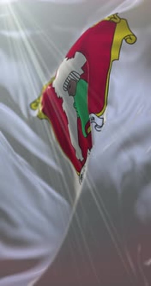 Drapeau de Toluca