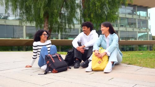 Multiracial Students Sitting and Chatting Relaxed in the University Campus