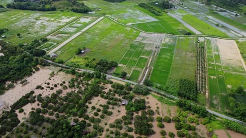 Aerial view of rice fields or agricultural areas affected by rainy season floods.