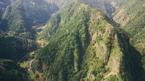 Üppige grüne Waldhänge mit schroffen Klippen, Luftaufnahme, Waldvegetation