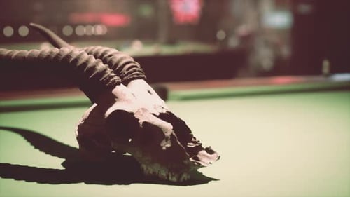 Un gros plan d'un crâne d'animal sur une table de billard