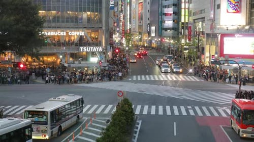 Time Lapse noturno de Shibuya Crossing