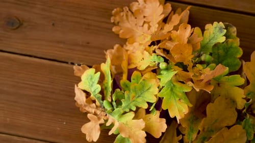 Autumnal Oak Leaves on Wooden Planks Zooming