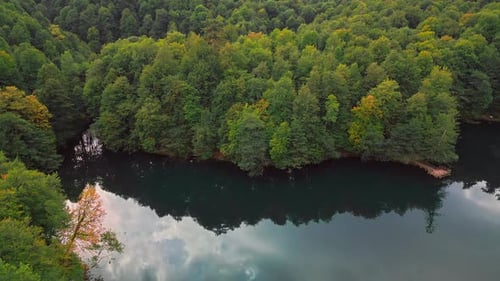 Autumn Forest and Lake - 2K