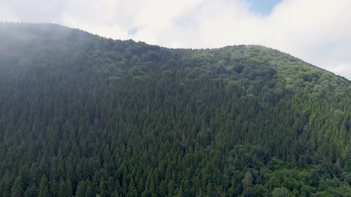 Aerial view of mountain with pine trees in foggy weather 4K