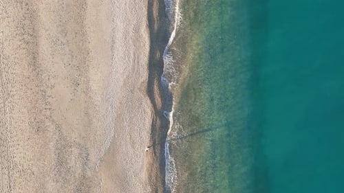 Relaxing Calm Ocean Waves on Sandy Beach
