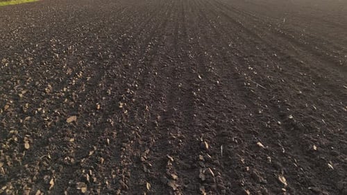 Landwirtschaftliches Ackerland Feld 64