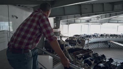 Ouvrier agricole contrôlant le fonctionnement de l'installation de traite du système de carrousel automatisé. Homme professionnel