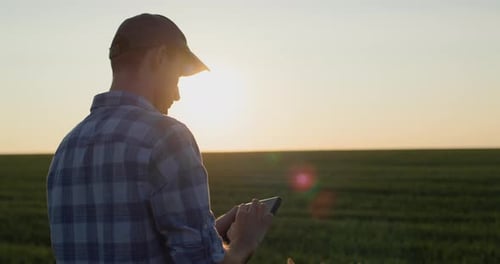 Successful Young Farmer is Working in the Field A Man Uses a Tablet New Technologies in Agriculture
