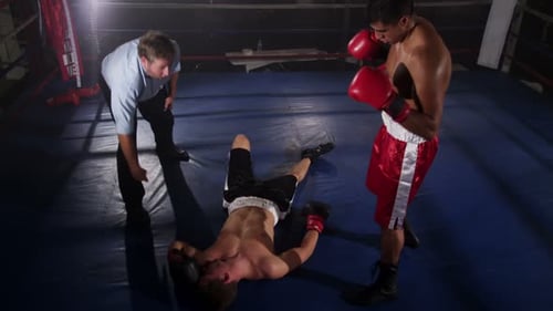 Boxer Knocks Out Opponent 30s