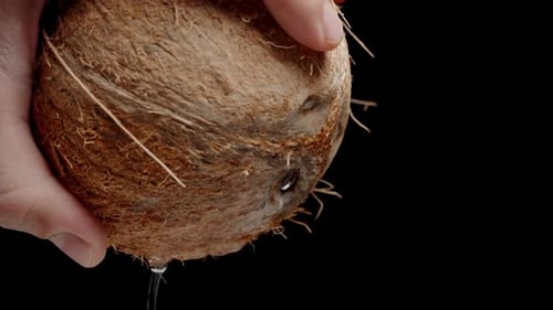 Close-up of a Coconut Held by a Man and Pouring Juice from a Hole. Slow Motion on an Isolated.
