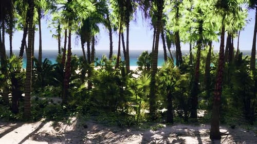 Miami South Beach Park with Palms
