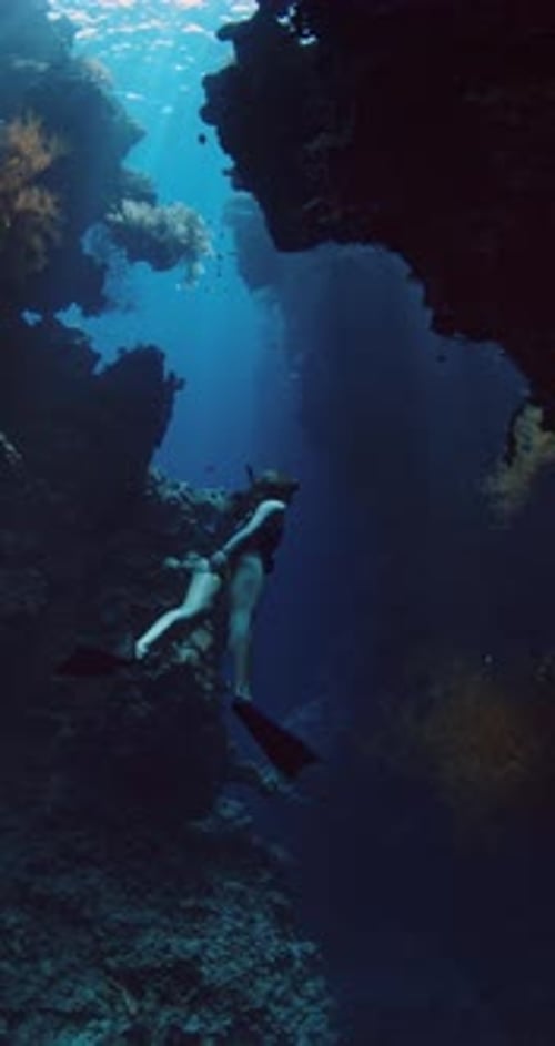 Freediver Woman Underwater Swimming Under Rocks with Corals Vertical Screen Footage