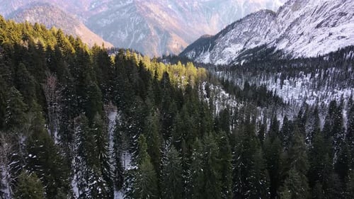 une vue aérienne d'une forêt enneigée dans les montagnes