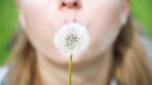Woman Blowing Dandelion Seeds in Close-Up Shot