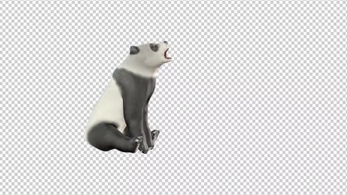 Bear Sitting Transparent Background 2