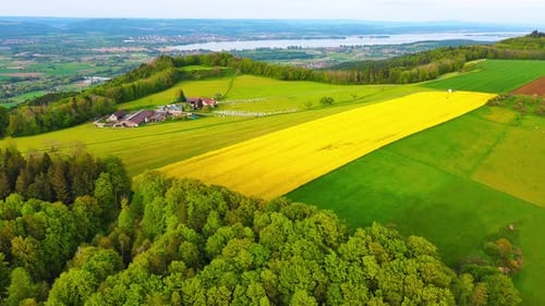 A Farm Stands on a Hill with Crop Fields White Bales of Hay and Pastures Surrounded By Forest