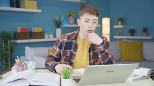 Teen Student Studying at Desk with Laptop