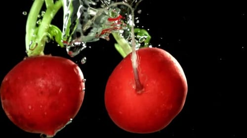 Super Slow Motion Fresh Radish Filmed on a Highspeed Camera at 1000 Fps