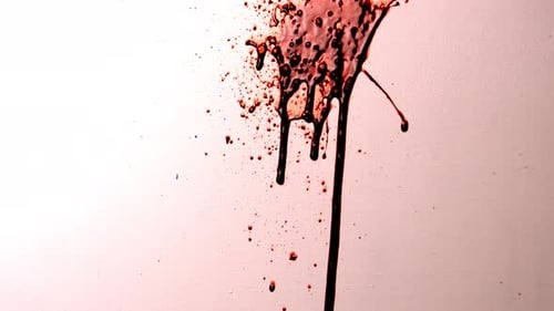 Deep Dark Red Blood Splattered at Speed on White Wall.
