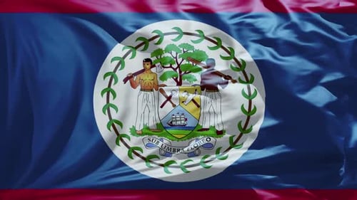 Belize National Flag Waving in Realistic Fabric Animation