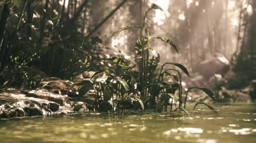Üppige grüne Pflanzen, die im Morgenlicht entlang eines ruhigen Waldflusses wachsen