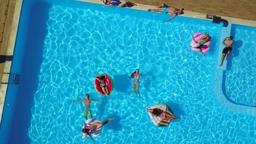 Aerial Friends Chilling in Swimming Pool with Inflatable Flamingo Swan Mattress Happy Young People