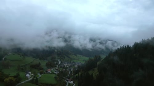 Harmony found, the village and woodland, where life moves around