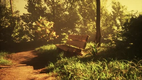 Park Bench and Path in Golden Sunlight