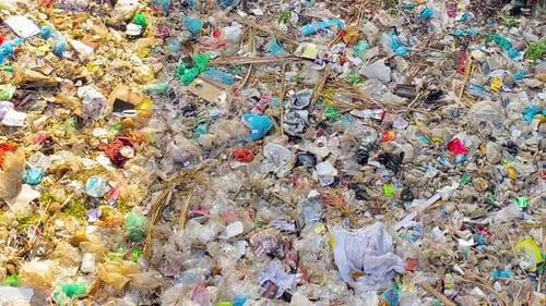Many plastic objects polluting a river in Bangladesh, daytime