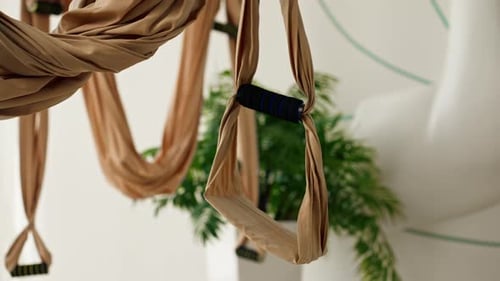 light white beautiful empty hall with brown canvases for fly yoga and meditation with flowers