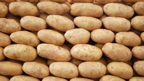 Raw Potatoes Selling on Farmers Market