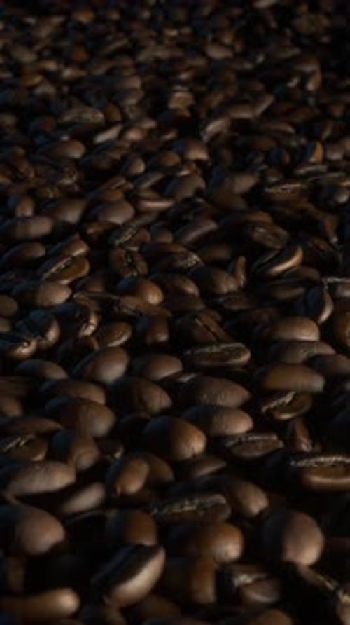 Falling Roasted Coffee Beans in Slow Motion Vertical Loop