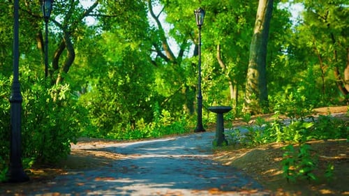 Walking Trails in the Park