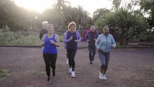 Group of sport senior people workout running outdoors at park city - Elderly community health concep