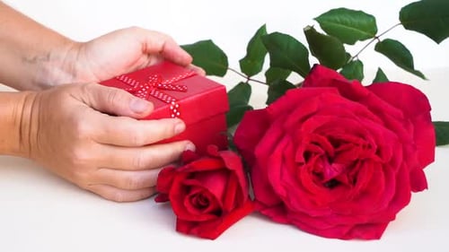 Red Roses with Gift Box Presented by Hands