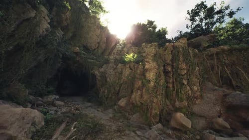 Sunlight Streaming Through Moss Covered Rocks at a Cave Entrance in Indonesia
