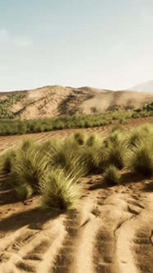 A Peaceful Desert Landscape with Lush Grass and Majestic Mountains