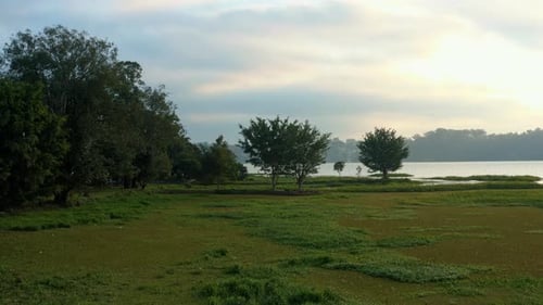 Peaceful Marsh Landscape at Sunrise