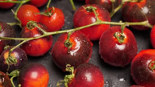 Crop of Ripe Indigo Tomato on Dark Slate Closeup Whole Black Cherry Kumato