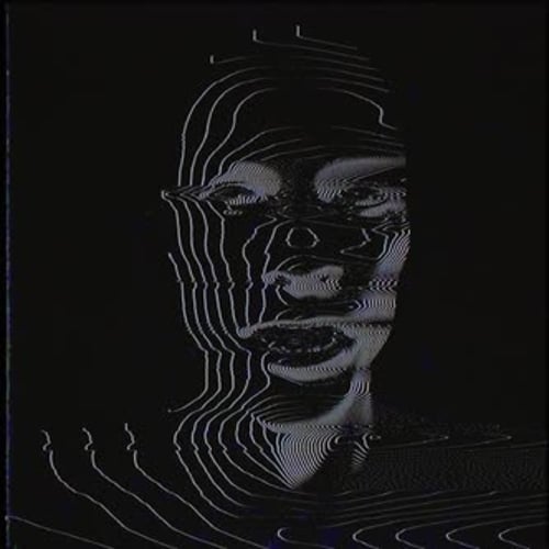 Abstract Glitch Wireframe Human Head Digital Animation