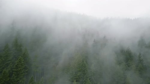Aerial View of Beautiful Mountain Landscape Fog Rises Over the Mountain Slopes