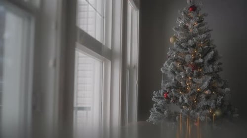 Decorated Christmas tree by bright window