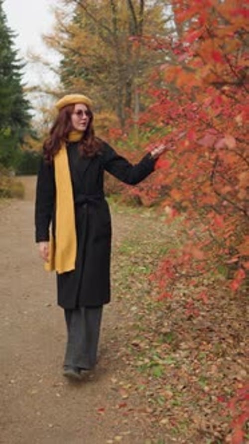 Young Lady Touches Autumn Leaves on Woodland Path