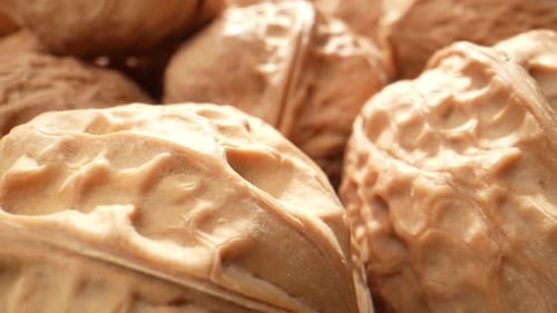 Walnuts in stunning macro close-ups