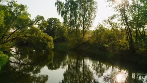 Aerial – Summer Trees Leaning To River And Sunlight Reflecting In Flowing Water