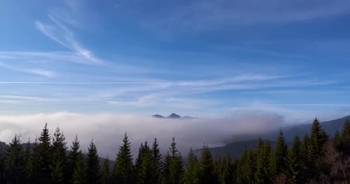 Der Nebel überschwemmert den Fichtenwald im Udol