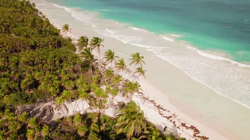 Luftaufnahme von Palmen am tropischen weißen Sandstrand mit türkisfarbenen Meereswellen