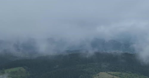 Pine Forest Fog Clouds Descending Aerial Top View Drone Video